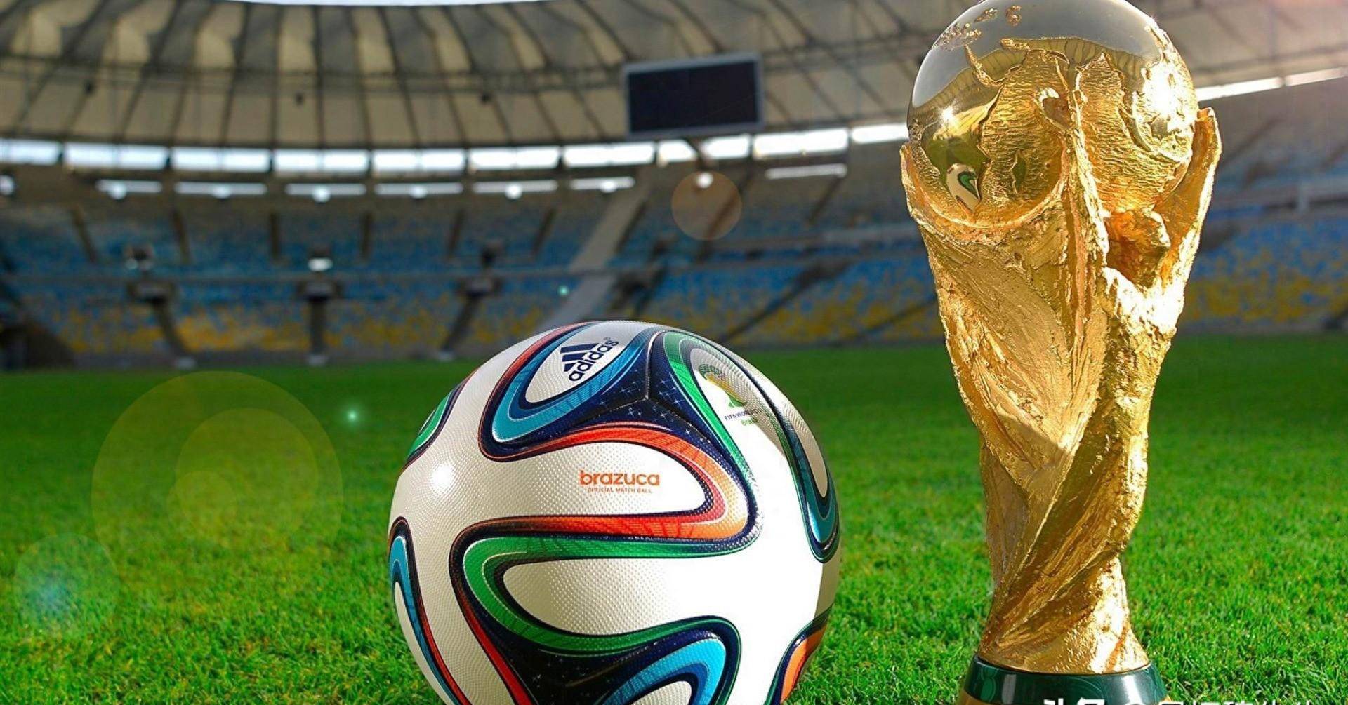 广东队教练 广东队教练